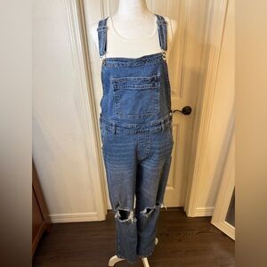 Celebrity Pink Light Blue Denim Overalls